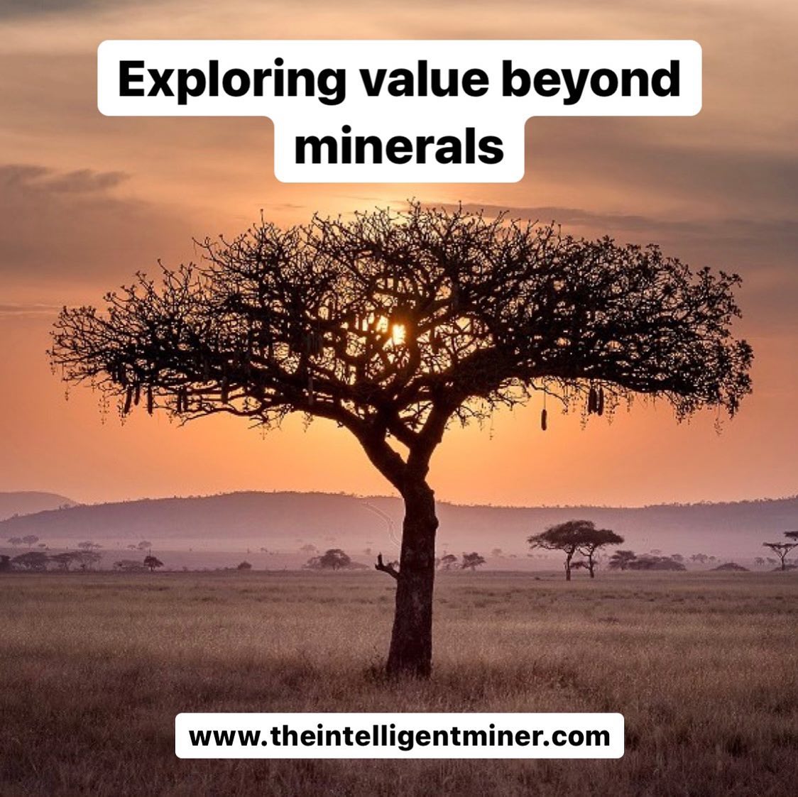 Exploring value beyond minerals