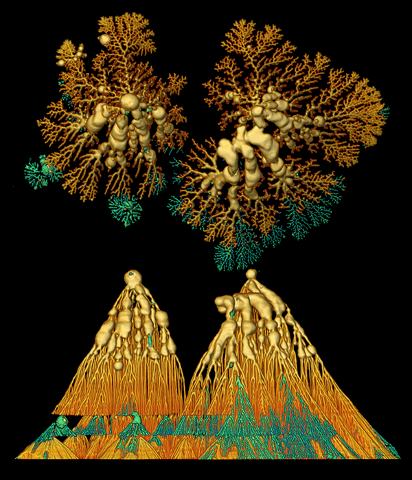 X-ray micro-CT: a popular tool in the geosciences for non-destructive 3D imaging